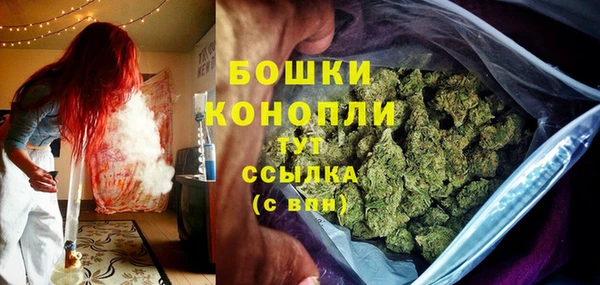 трава Абаза