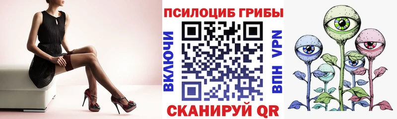 Псилоцибиновые грибы Psilocybe Яблоновский